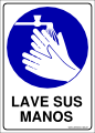 seg324
Lave sus manos